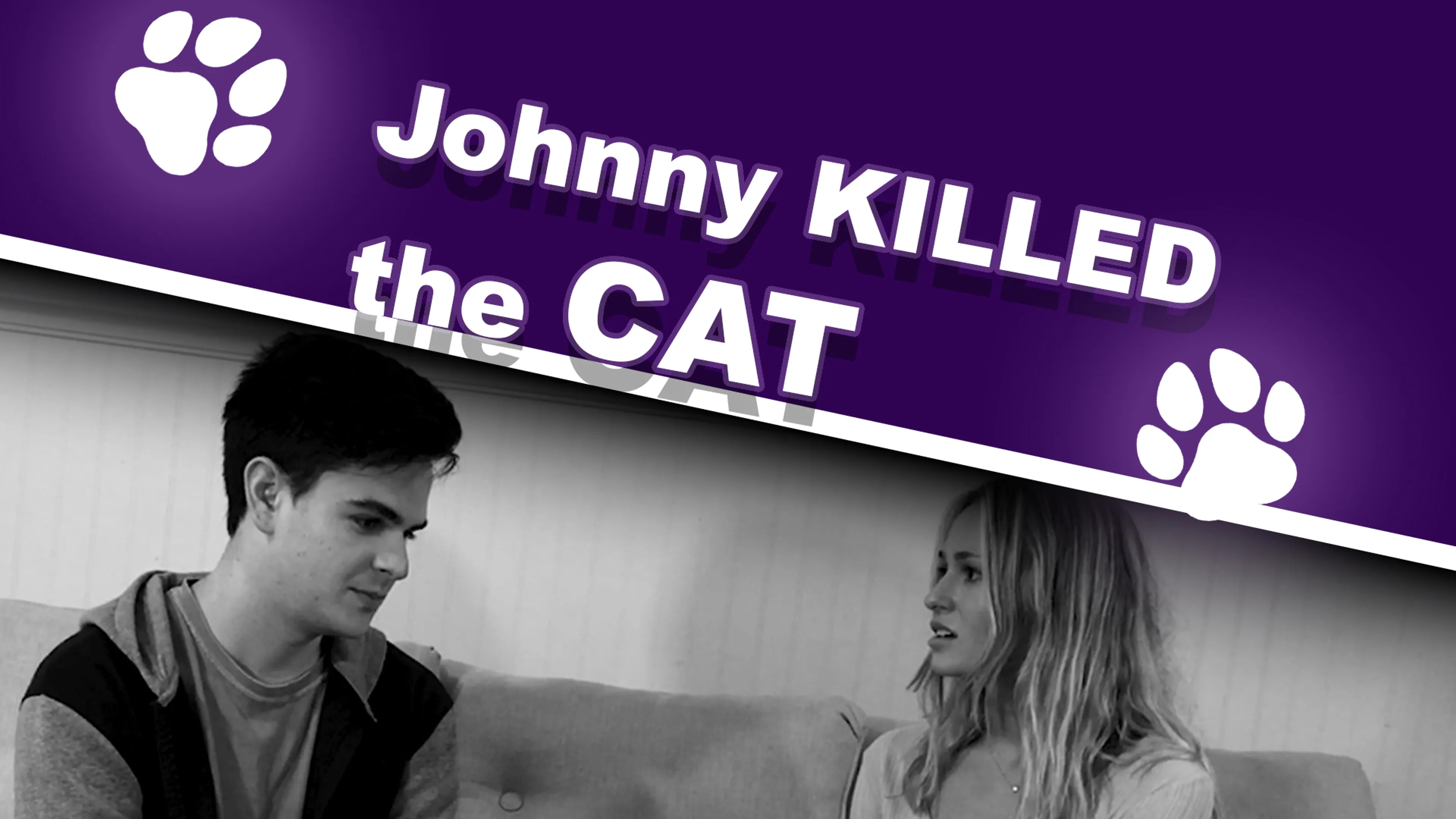 Johnny Killed the Cat poster